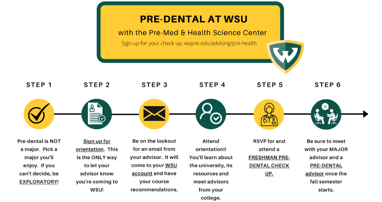 Pre-Dental at WSU 6 steps