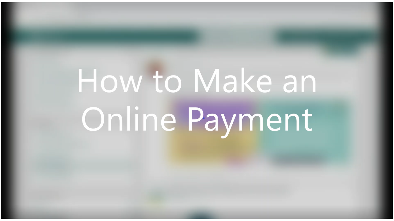 How to make an online payment video link