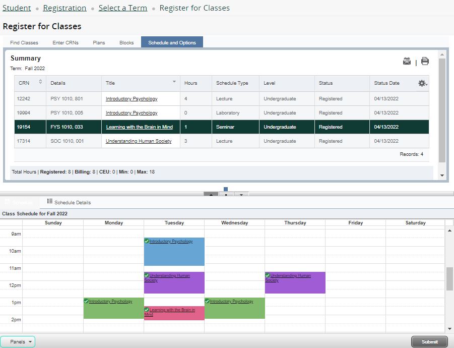 Screen capture of the Schedule and Options Summary interface of the Student Registration Portal.