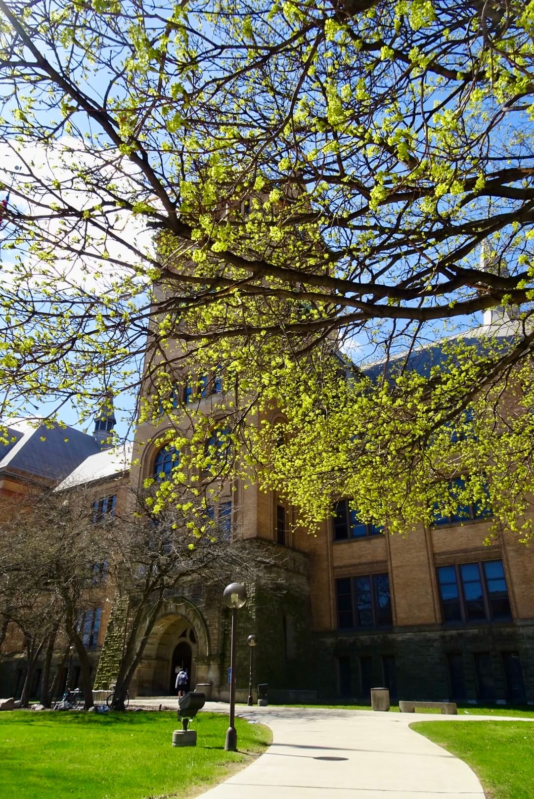 Spring foliage frames a view of the historic, sandstone facade of Old Main at Wayne State University on a sunny day.